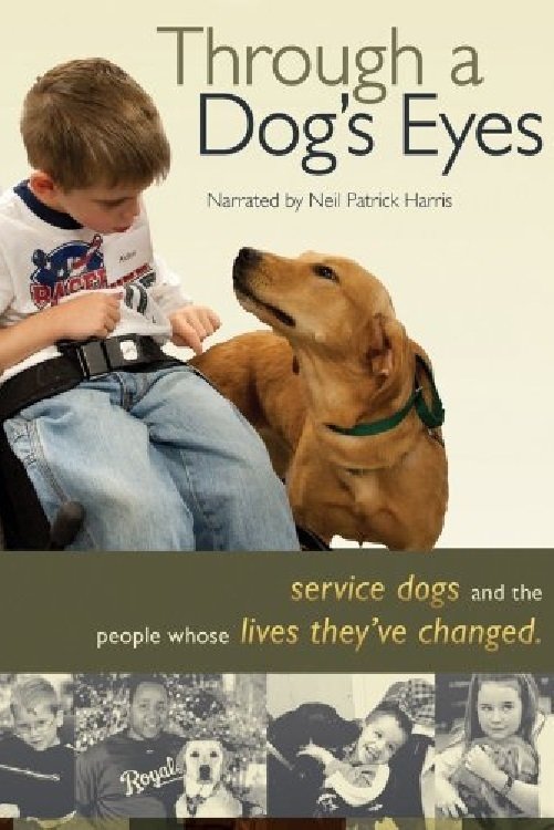 Постер Through a Dog's Eyes